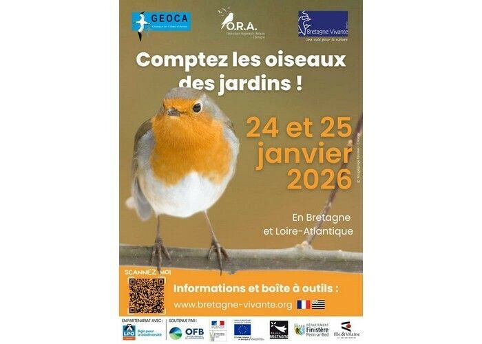 Opération Comptage des Oiseaux de Jardins