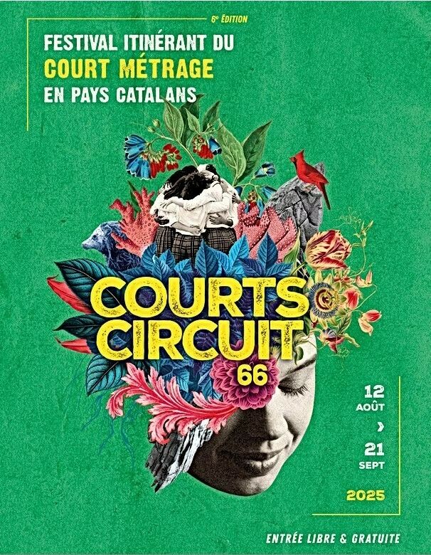 6ème édition courts circuits 66 courts métrages