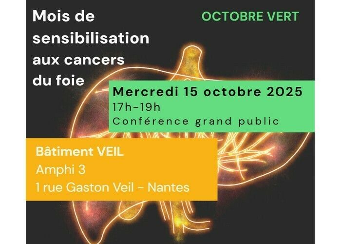 Cancers du foie : les hépato-gastro-entérologues nantais sensibilisent le grand public