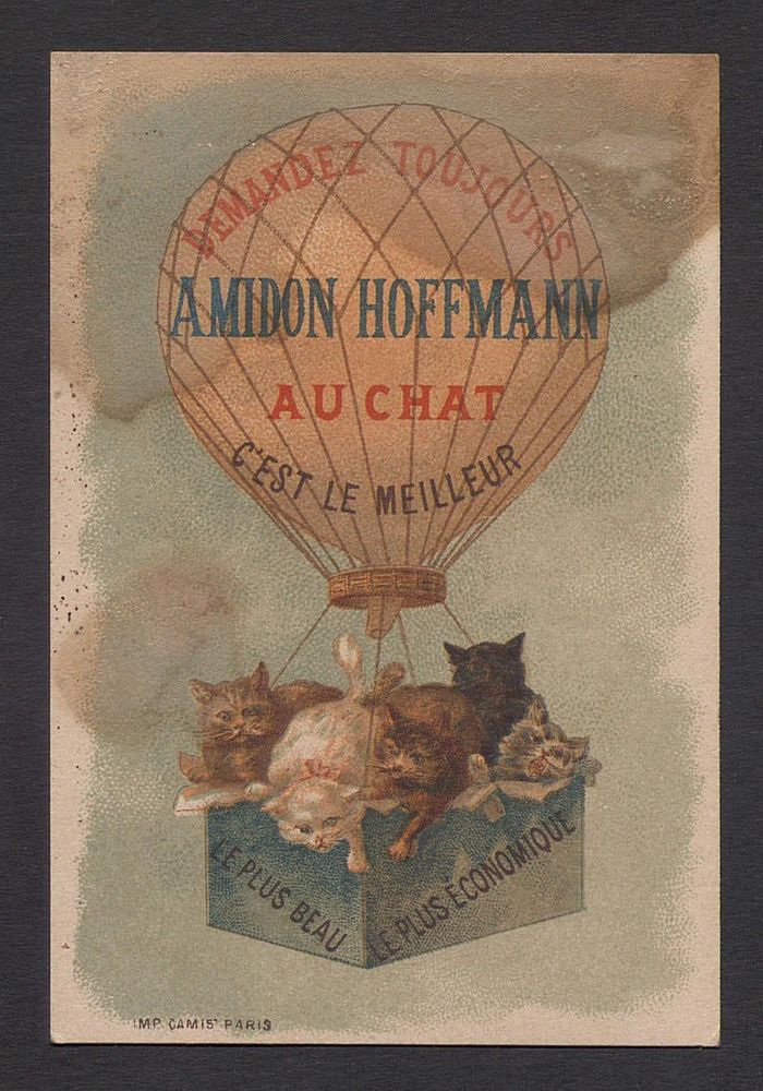 L’art d’être chat