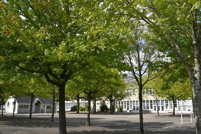 Pendant les vacances, des cours d'écoles ouvrent leurs grilles !