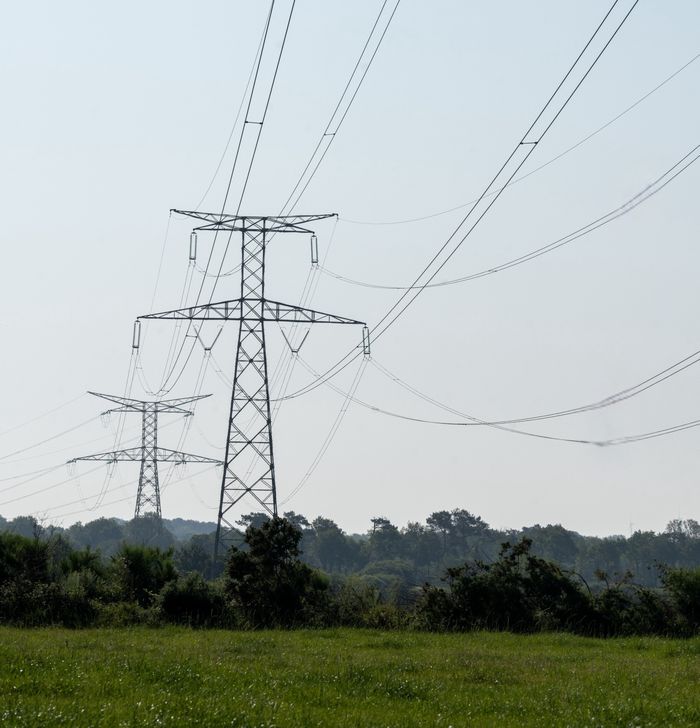 Nouvelle ligne électrique en Centre-Val de Loire : donnez votre avis lors de la fête de la chataîgne à Eguzon !