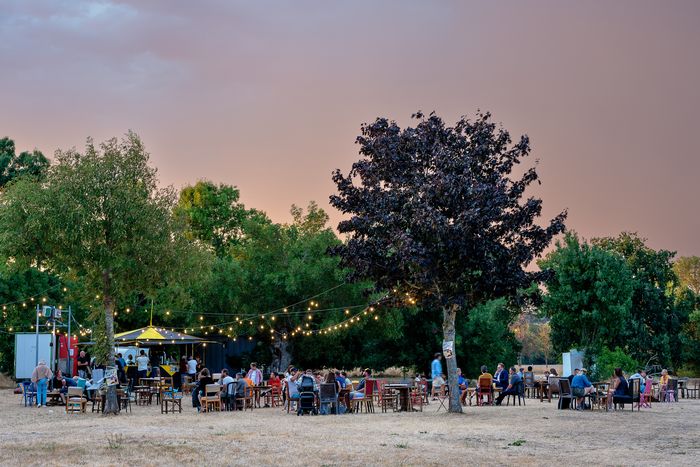 Concerts en bord de Loire