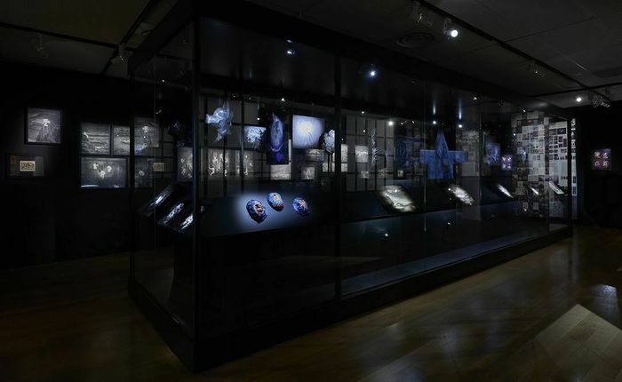 Visite Miroirs: Tom de Pékin avec le nouveau Printemps