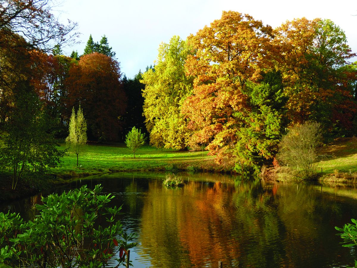 Visite libre de l'arboretum du château de Neuvic d'Ussel