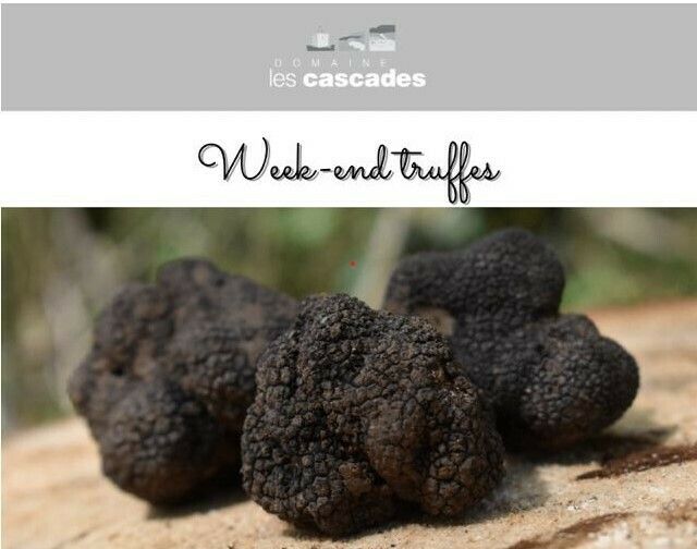 Week-end truffes