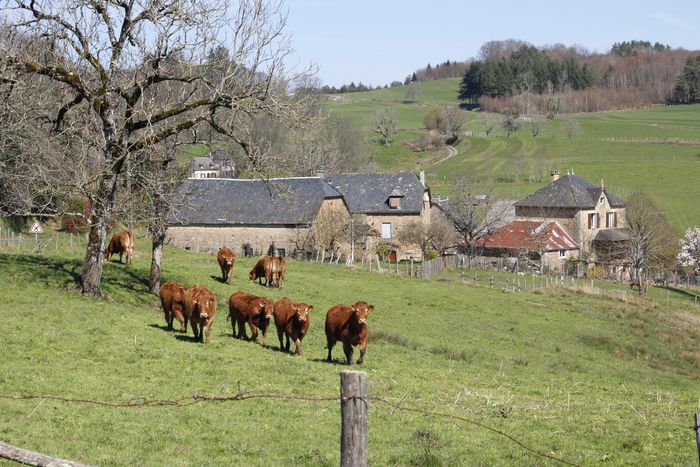 Circuit : à la découverte du patrimoine agricole de Saint-Hilaire-Taurieux