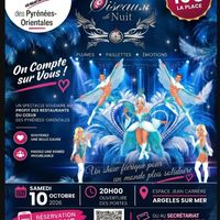 Spectacle cabaret - Les Oiseaux de nuit