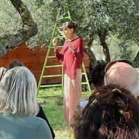 Conte dans les Oliviers au Domaine Lupia