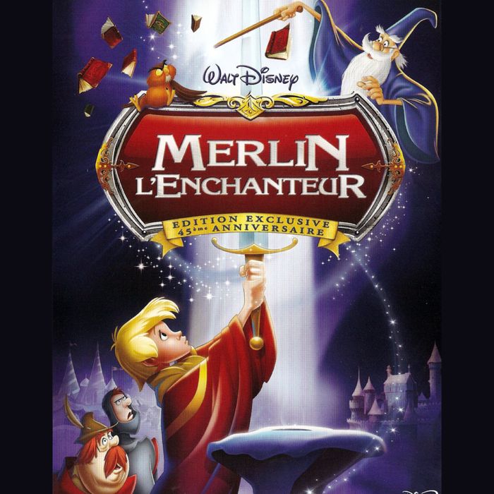 Projection du dessin animé Merlin l'Enchanteur suivi de jeux et d’un débat convivial.