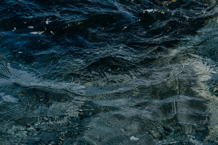 Exposition de photographies "L'eau"