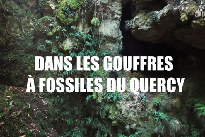 Projection gratuite du documentaire suivie d’une rencontre avec un membre de l’équipe du film ou un chercheur.