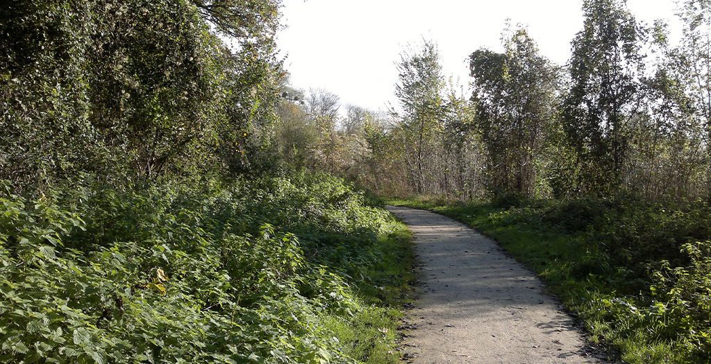 Tous en Forêt ! Les forestiers vous rencontrent dans le bois régional du Plessis-Saint-Antoine