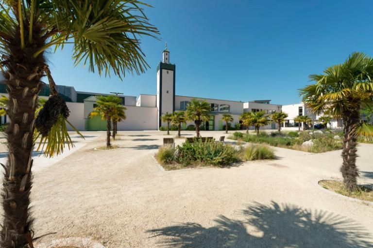 Découverte de la Grande Mosquée