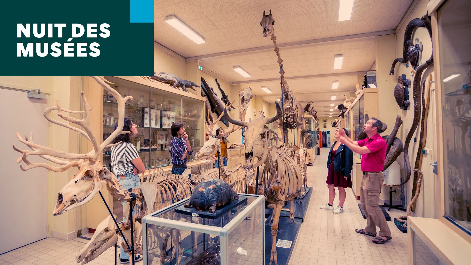 Découvrez les collections scientifiques de l’Université de Rennes.