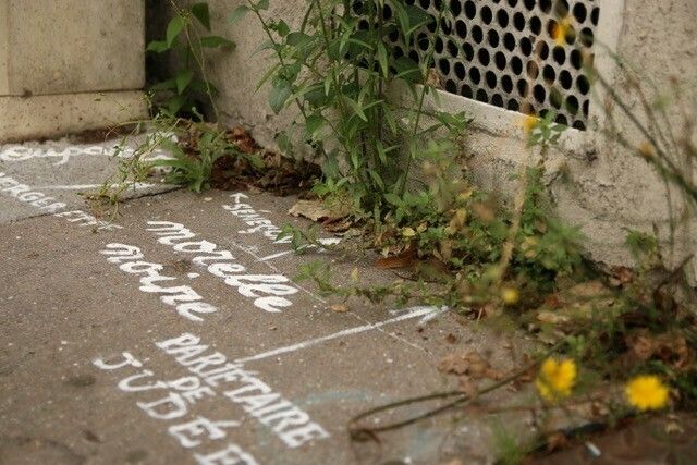 Belle de Bitume - Biodivers'été