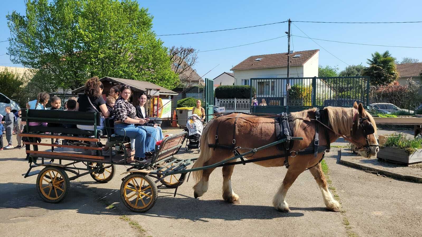 Visite guidée en calèche