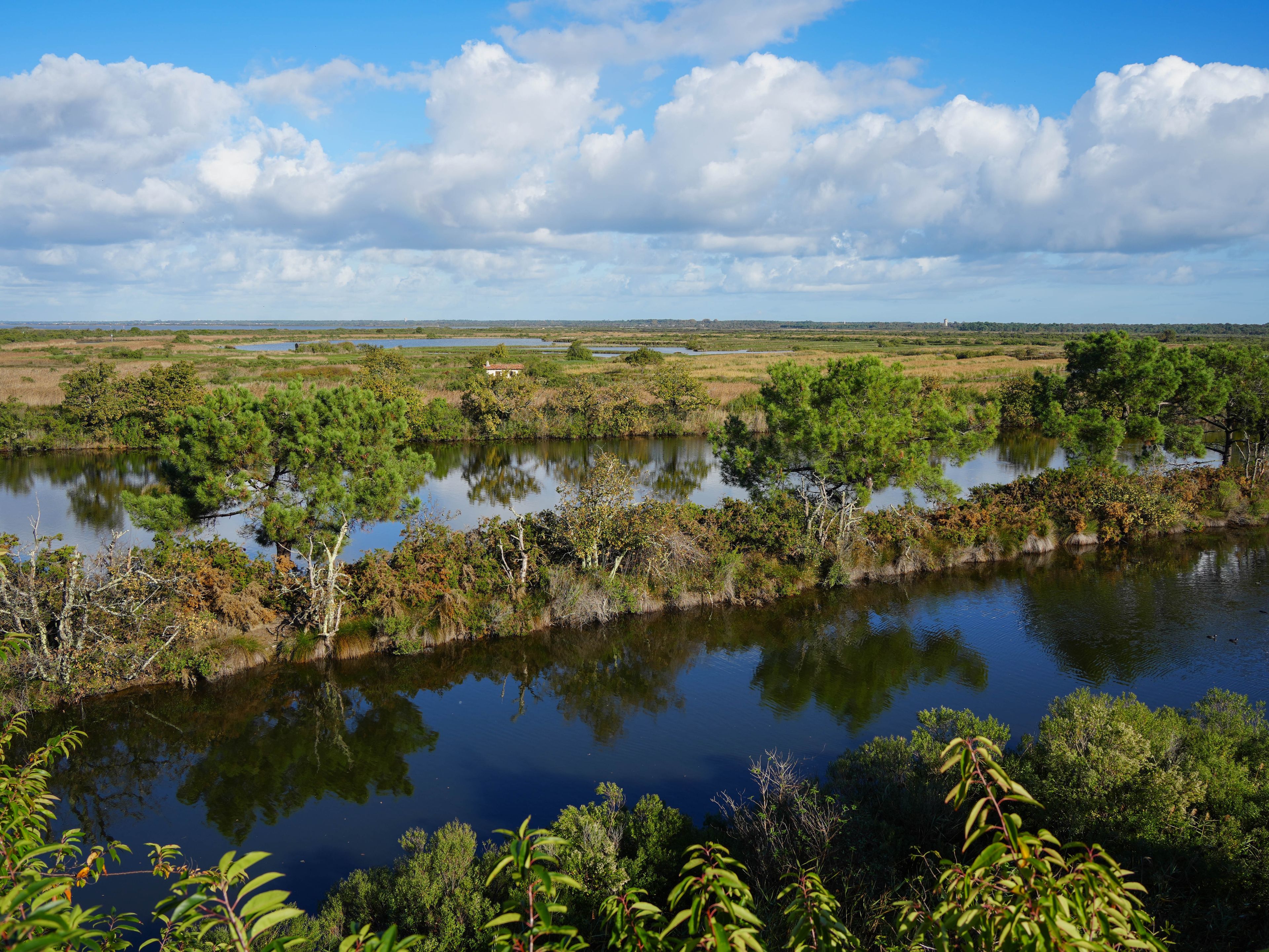Visite « ornitho-historique » de la réserve ornithologique du Teich