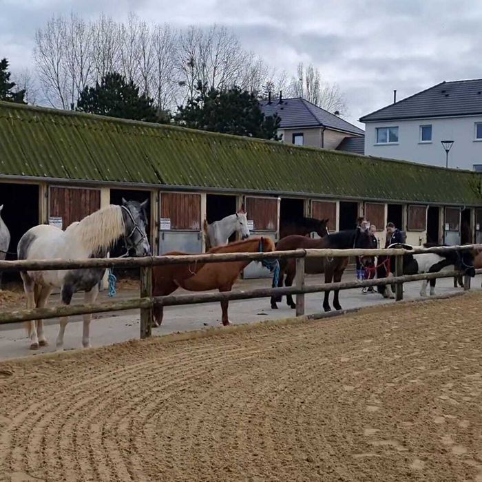 Portes ouvertes à Courseulles équitation