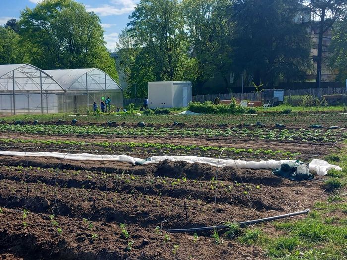Tous à la ferme et marché
