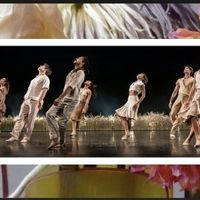 Festival Pérelada - Acosta Danza - Folclor