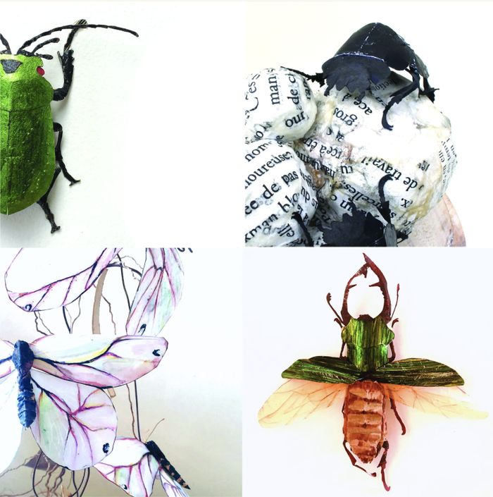 Exposition « Les carnivores et les oiseaux » de Pierre Fauret