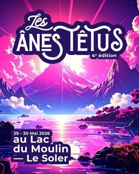 Festival Les Ânes Têtus - The Supermen Lovers, DJs From Mars, Le Pedre, NJ...