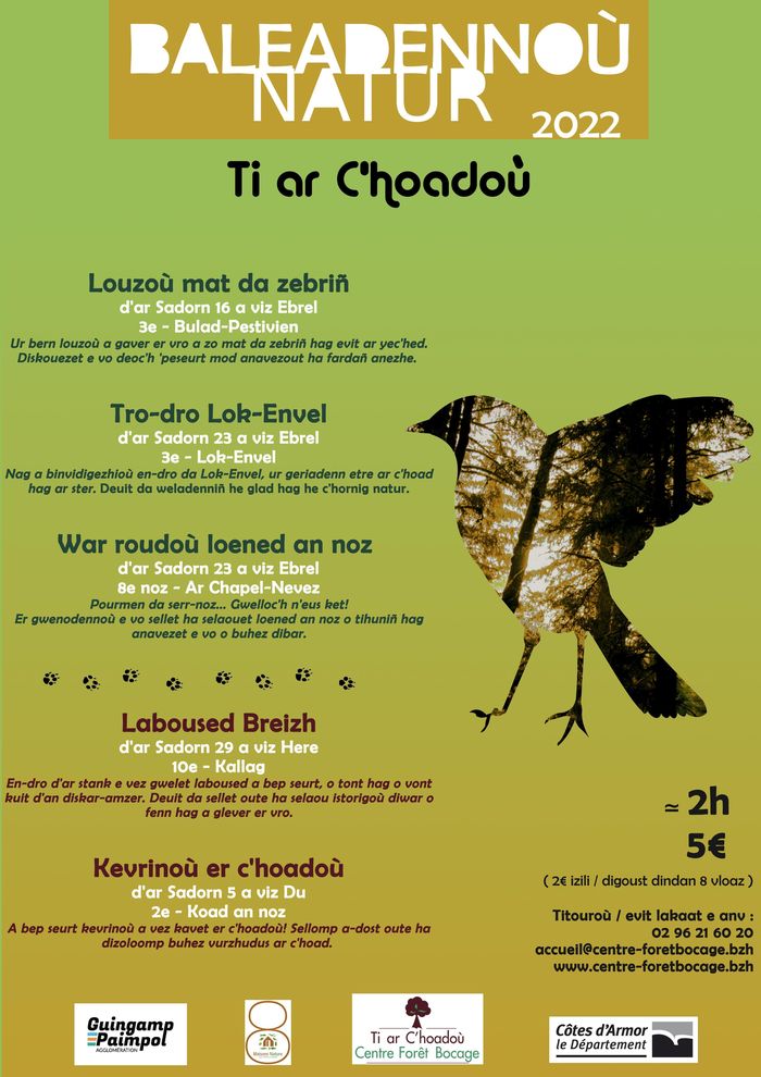 Les oiseaux de Bretagne