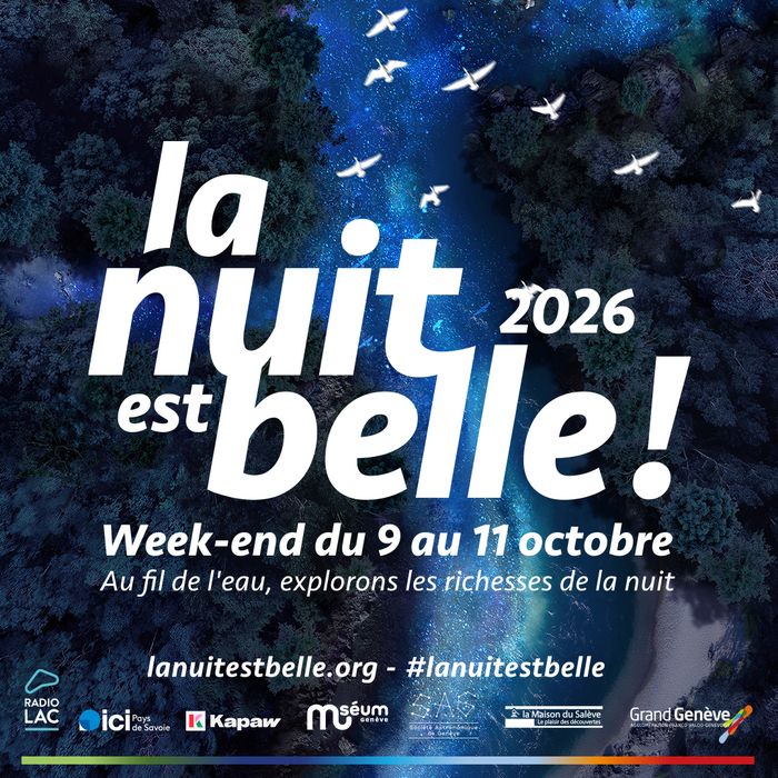 Ciel nocturne avec oiseaux blanc et texte de l'affiche en blanc
