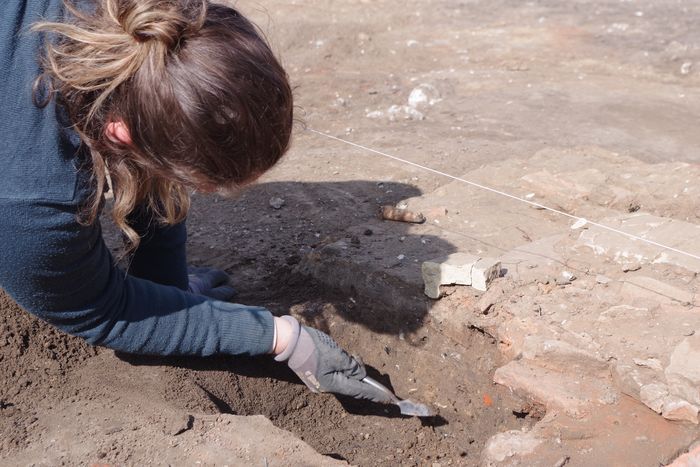 Des Romains à Hermes : archéologie à la Cité d'Alésia