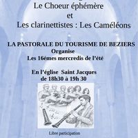 Le chœur éphémère et les clarinettistes : Les Caméléons