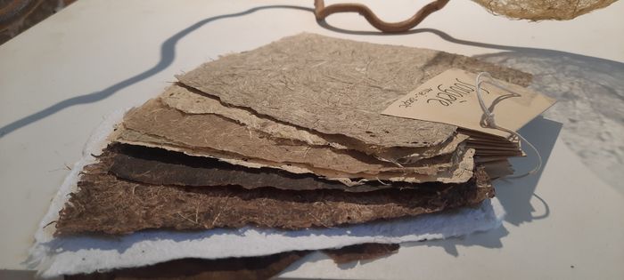 Atelier papier végétal