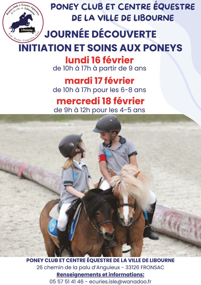Journée découverte initiation et soins aux poneys