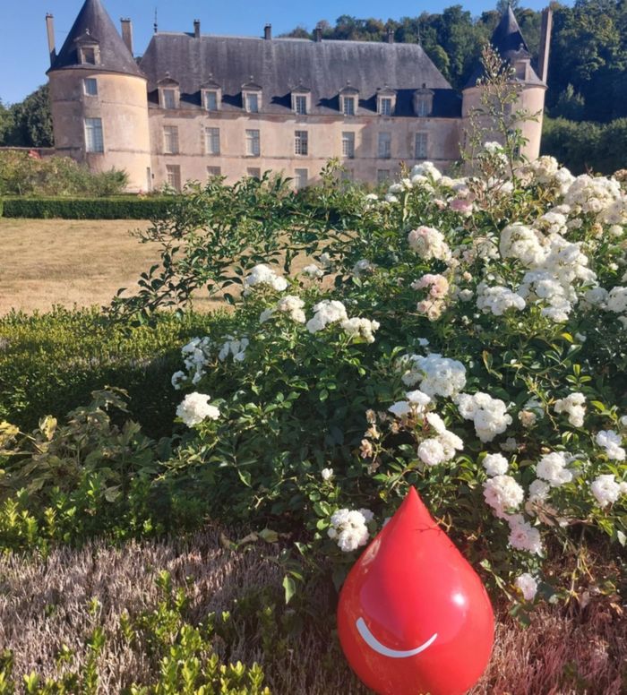 Donnez votre sang pendant votre visite du château !
