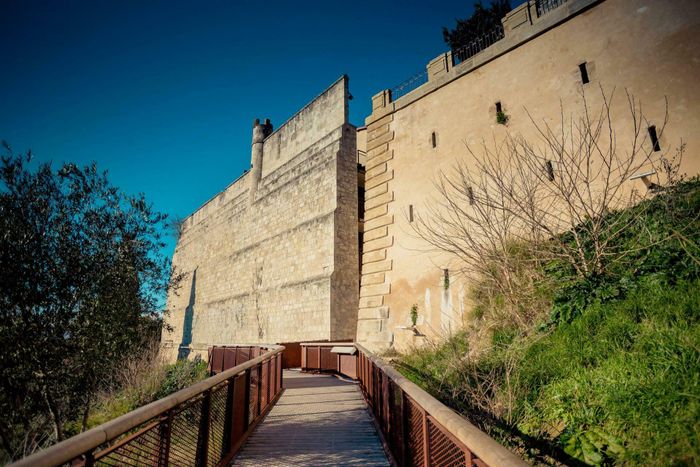 Visite: Béziers la Métamorphose
