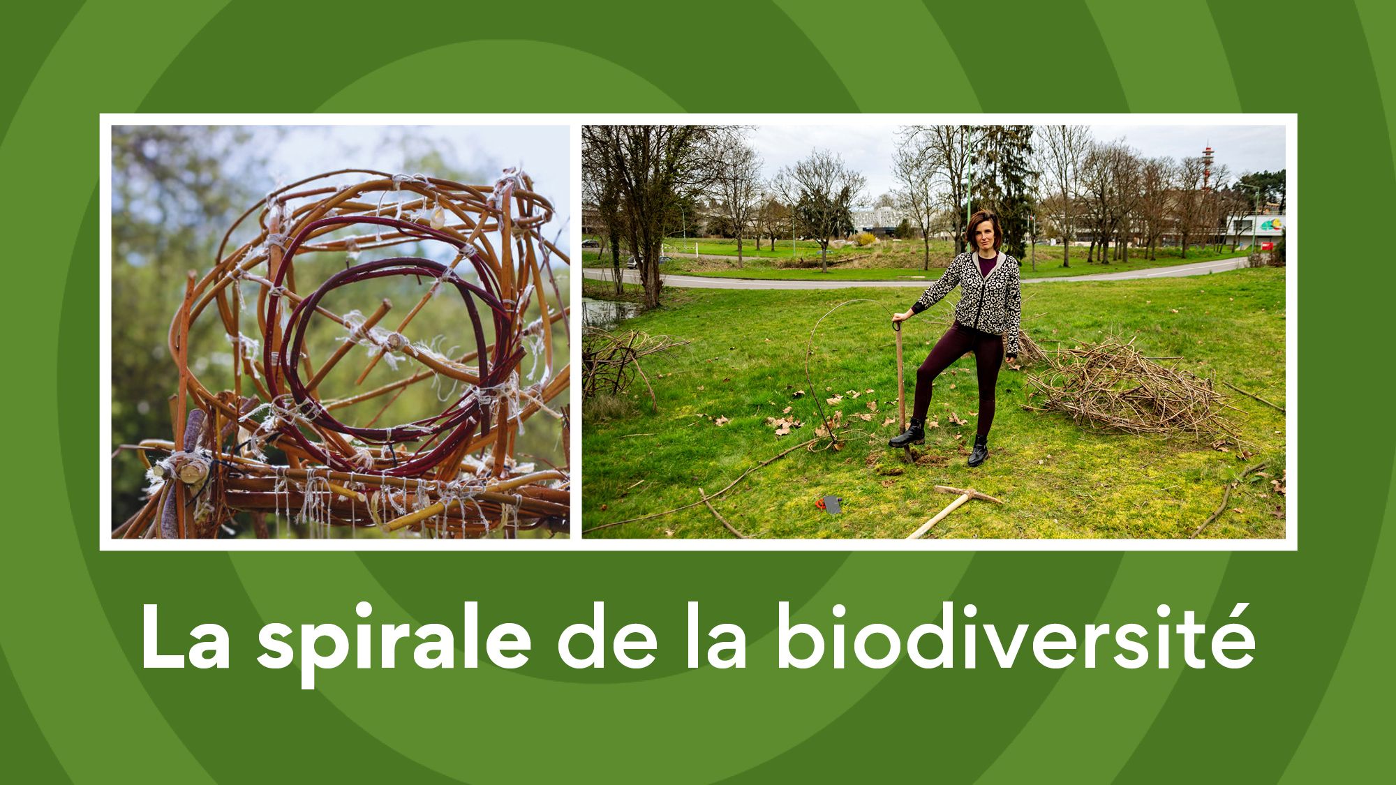 Retrouvez l’artiste Cendrine Robelin à la Croix Verte pour la création de la Spirale de la Biodiversité.