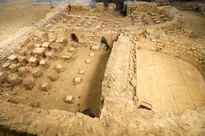 Exposition sur le site archéologique - Villa Scoliva