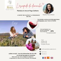 L'escapade du dimanche: Plantes médicinales et vins en Pays Cathare