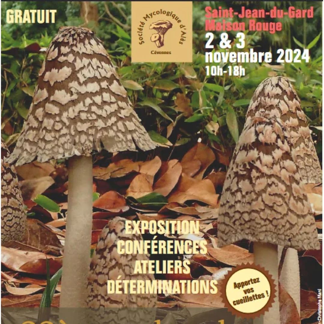 22e salon du champignon