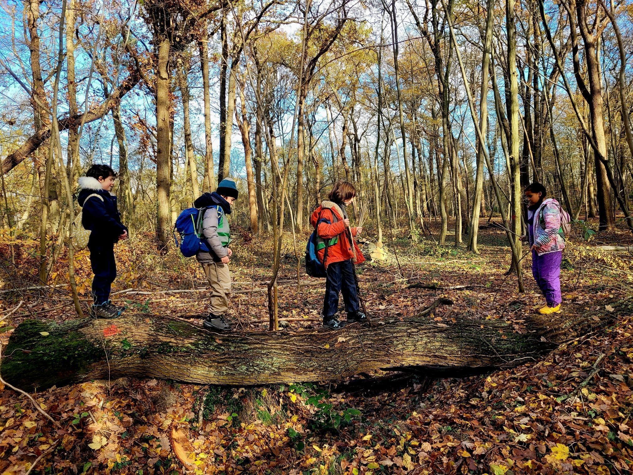 "Mercredi j'ai forêt !" à Saint-Germain-en-Laye