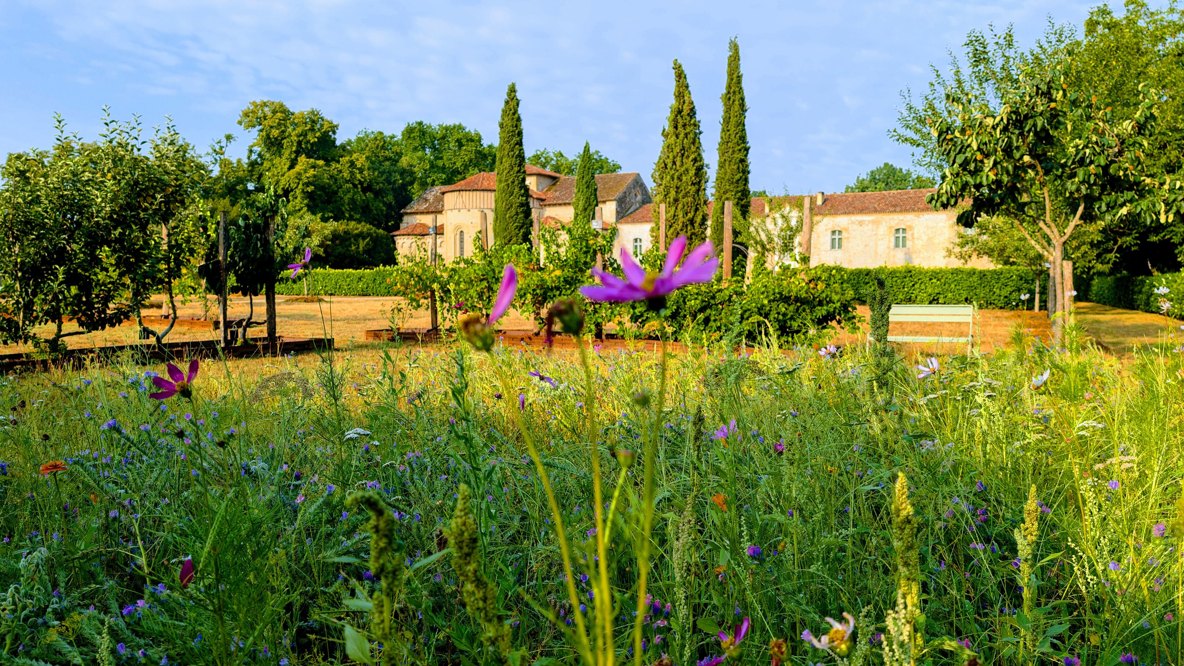 Visite libre de l’abbaye, des jardins et des expositions