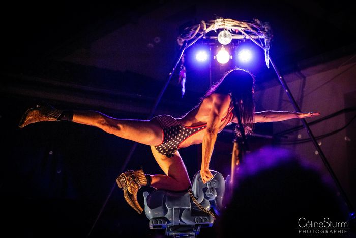 Steeve - Les Barjes