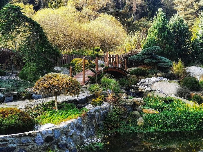 Le Jardin des Oliviers, mythes et variations.