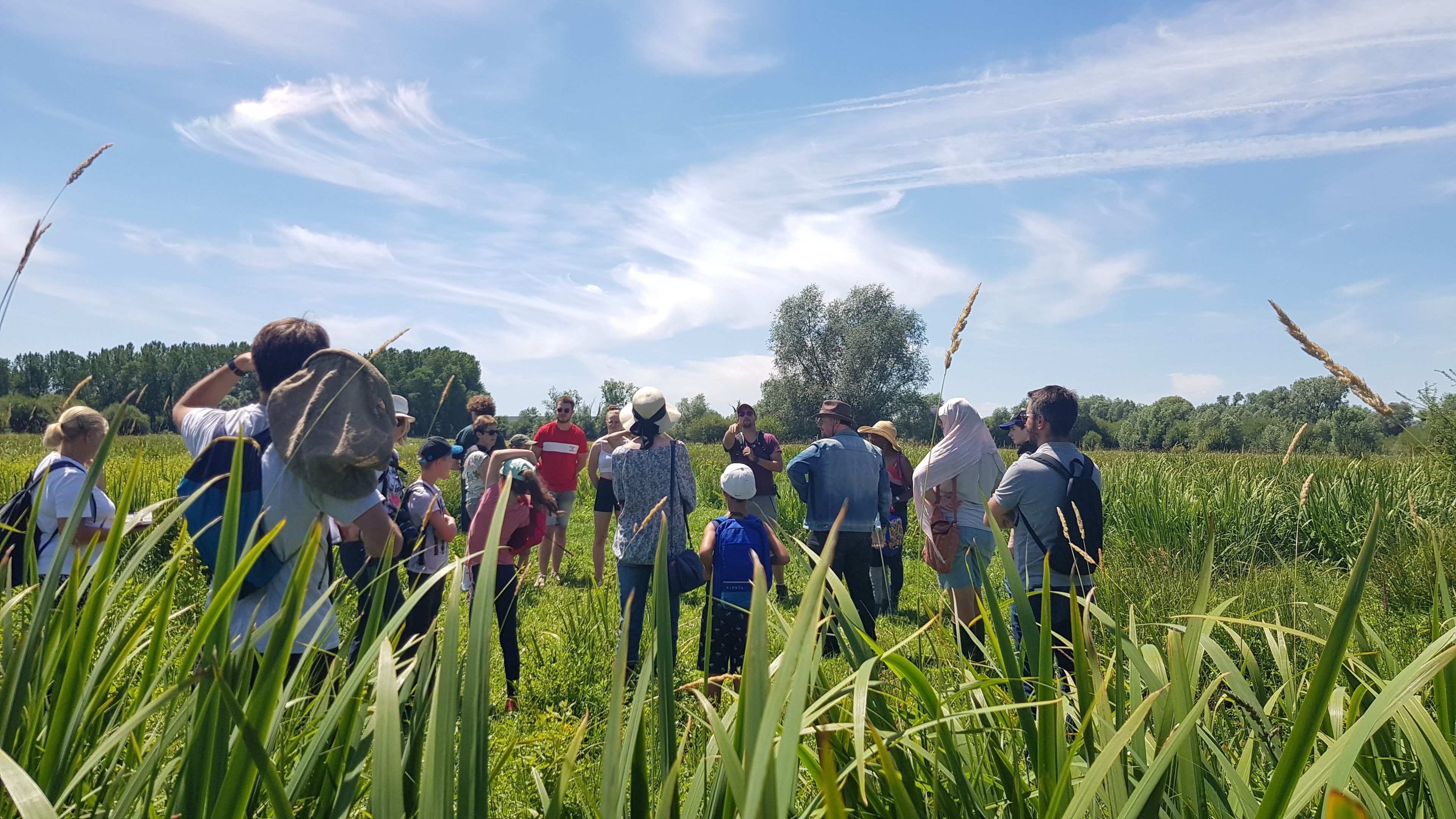 ANNULATION - Les plantes oubliées du Marais du Trait