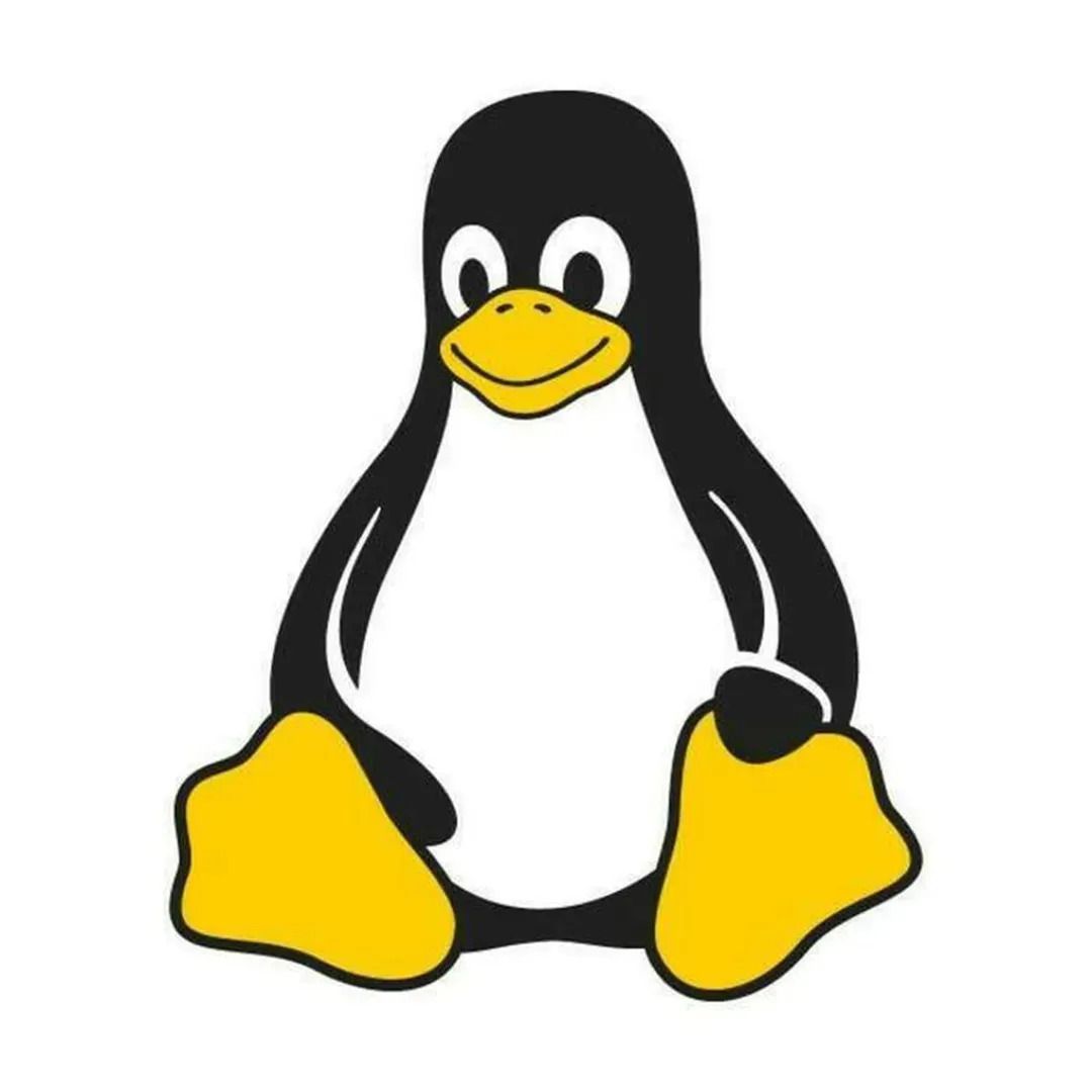 Install party : on installe ensemble Linux Mint sur vos ordinateurs