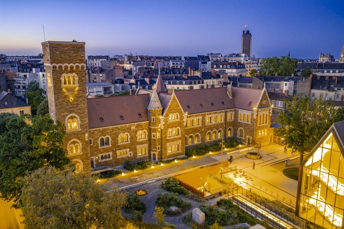 Cultivate your curiosity at night at the Museum!