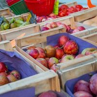Marché de Lieuran