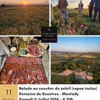 Balade au coucher du soleil et repas au Domaine de Soustres