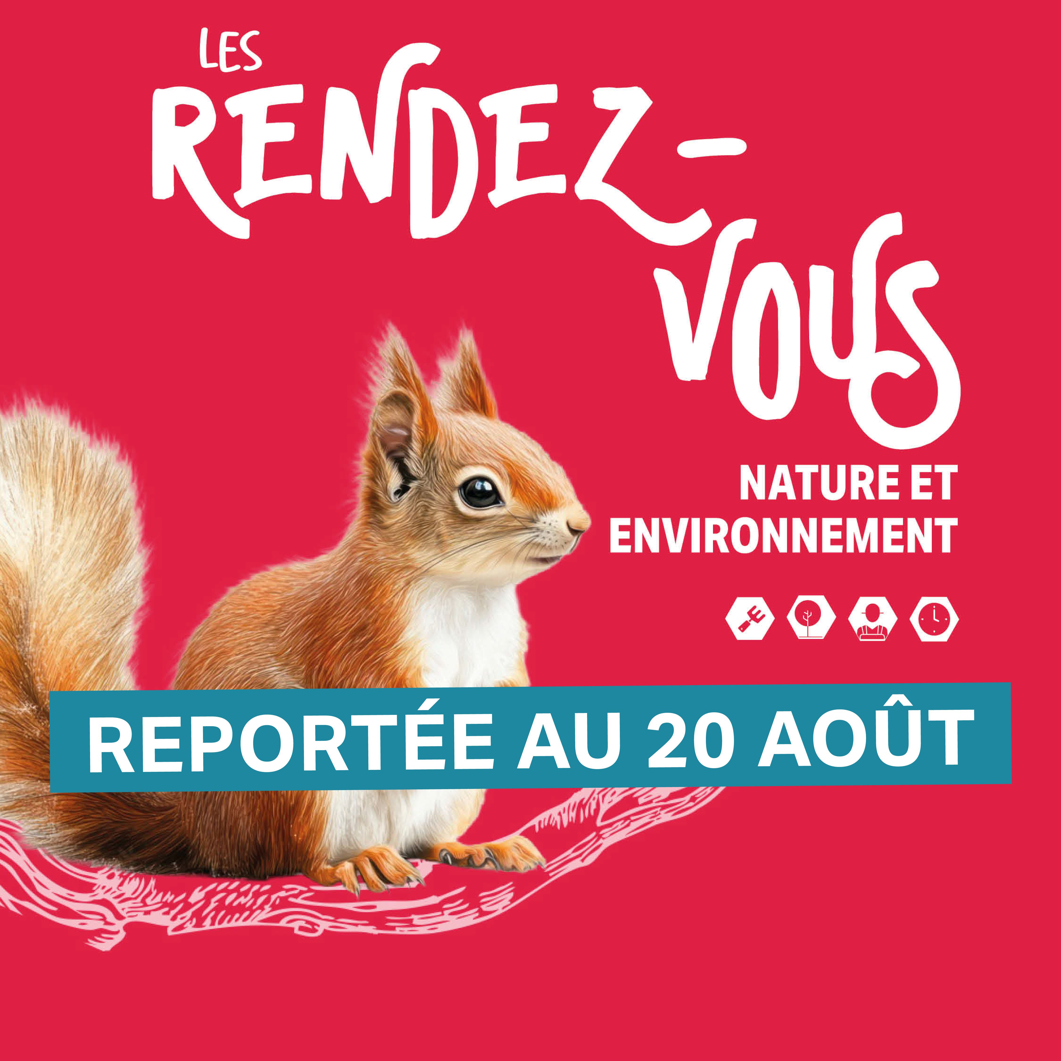 Balade nocturne