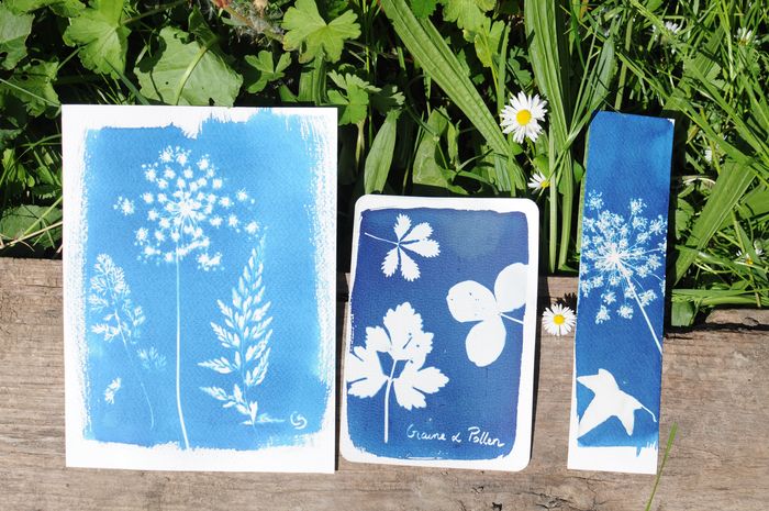 Atelier cyanotype